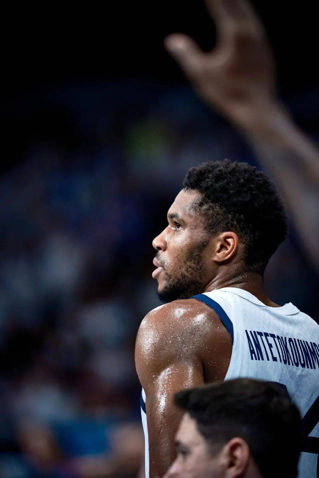 关于雄鹿不敌尼克斯，字母哥全场16中5令人失望的信息