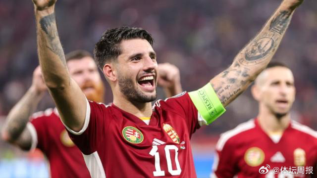 匈牙利队遭遇惨败，瑞士队晋级欧洲杯强