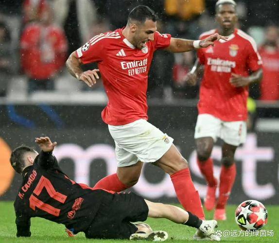 欧预赛决胜时刻临近，球迷翘首以待看谁能笑到最后