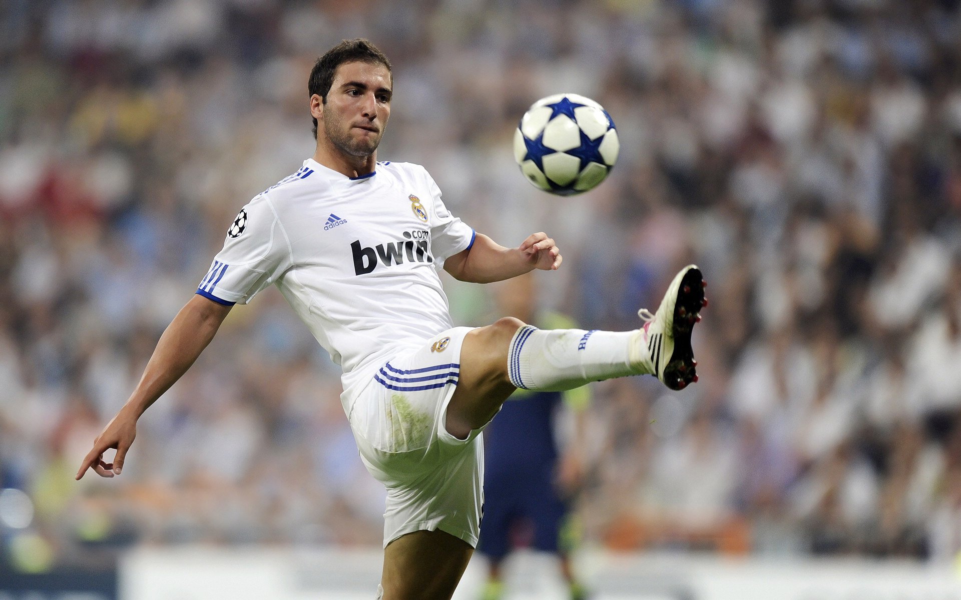 王者的失速与诗人的逆袭,霍勒迪的街道赛之夜